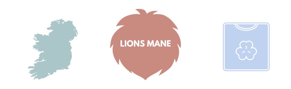 best lions mane mushrooms in ireland