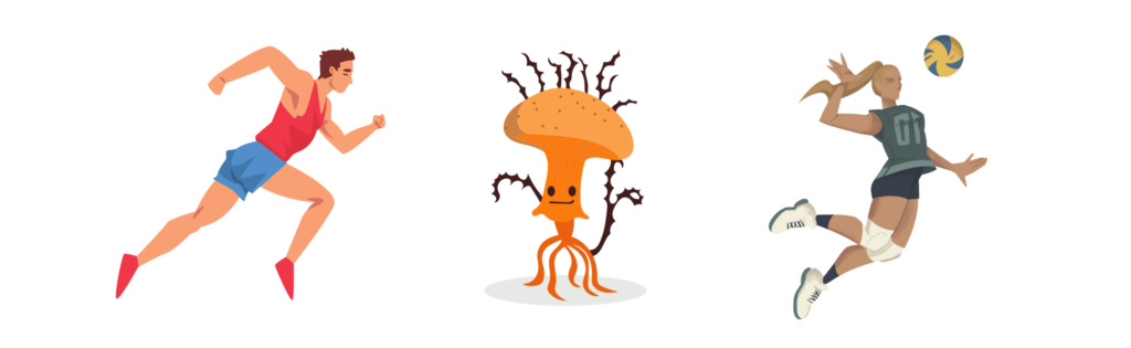 cordyceps mushroom malta